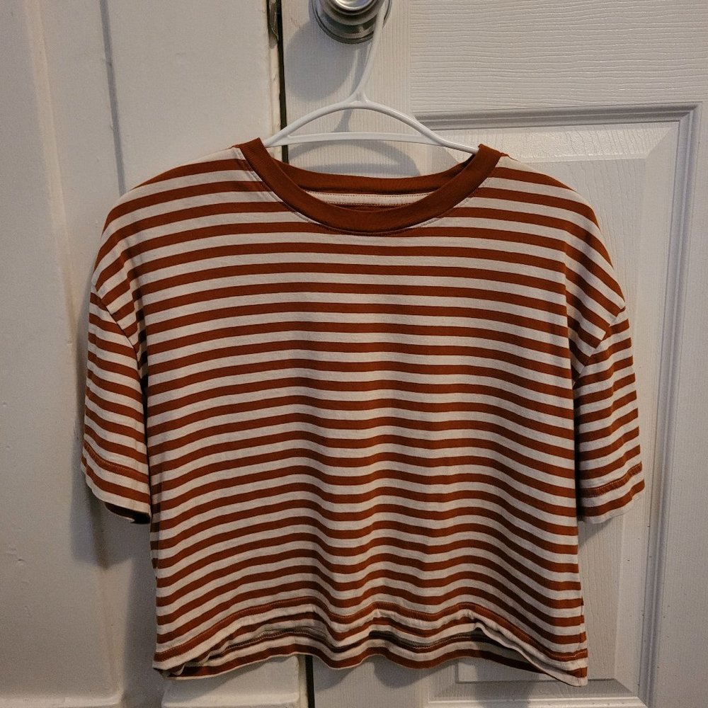 Everlane Boxy Crop T-Shirt